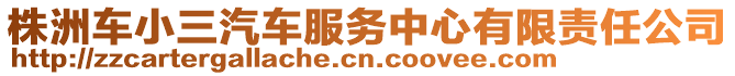 株洲車小三汽車服務中心有限責任公司