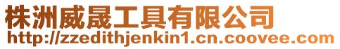 株洲威晟工具有限公司