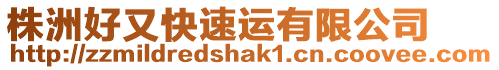 株洲好又快速運有限公司