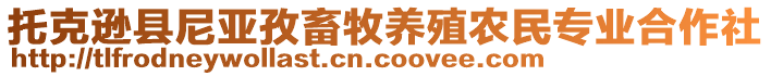 托克遜縣尼亞孜畜牧養(yǎng)殖農民專業(yè)合作社