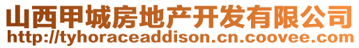 山西甲城房地產開發有限公司