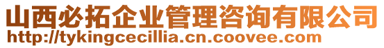山西必拓企業(yè)管理咨詢有限公司