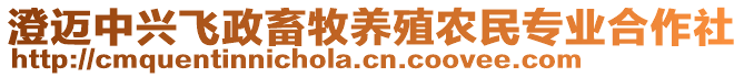 澄邁中興飛政畜牧養(yǎng)殖農(nóng)民專業(yè)合作社