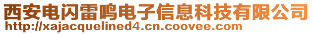 西安電閃雷鳴電子信息科技有限公司