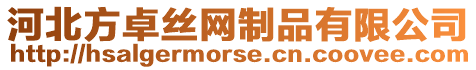 河北方卓絲網(wǎng)制品有限公司