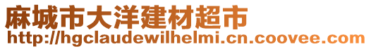 麻城市大洋建材超市