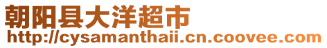 朝陽縣大洋超市