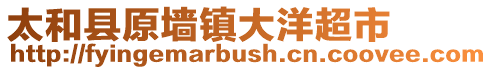 太和縣原墻鎮大洋超市