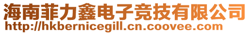 海南菲力鑫電子競技有限公司