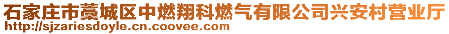 石家莊市藁城區(qū)中燃翔科燃?xì)庥邢薰九d安村營(yíng)業(yè)廳