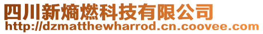 四川新熵燃科技有限公司