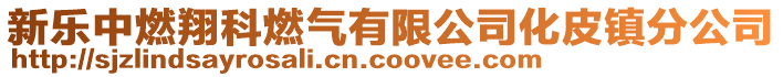 新樂中燃翔科燃?xì)庥邢薰净ゆ?zhèn)分公司