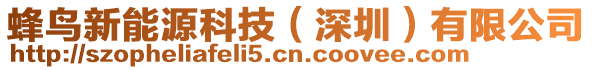 蜂鳥(niǎo)新能源科技（深圳）有限公司