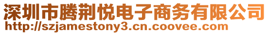 深圳市騰荊悅電子商務(wù)有限公司