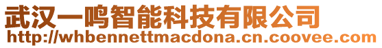 武漢一鳴智能科技有限公司