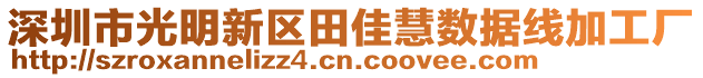 深圳市光明新區(qū)田佳慧數(shù)據(jù)線加工廠