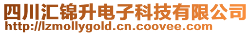 四川匯錦升電子科技有限公司