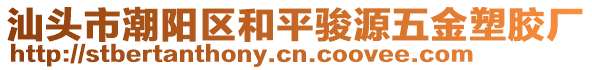 汕頭市潮陽區(qū)和平駿源五金塑膠廠