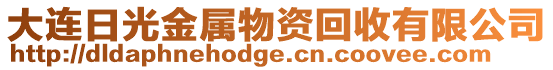 大連日光金屬物資回收有限公司