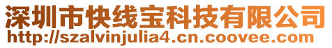 深圳市快線寶科技有限公司