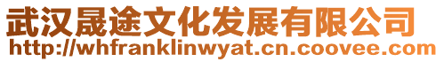 武漢晟途文化發展有限公司