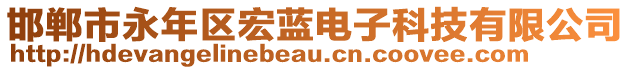 邯鄲市永年區(qū)宏藍(lán)電子科技有限公司