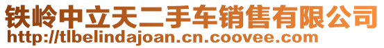 鐵嶺中立天二手車銷售有限公司