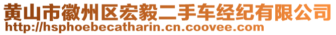 黃山市徽州區(qū)宏毅二手車經(jīng)紀(jì)有限公司