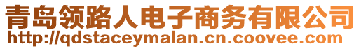 青島領(lǐng)路人電子商務(wù)有限公司