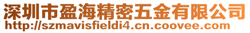 深圳市盈海精密五金有限公司