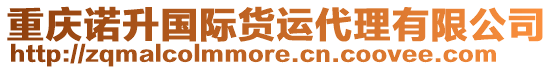 重慶諾升國際貨運代理有限公司