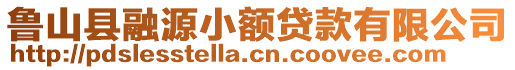 魯山縣融源小額貸款有限公司