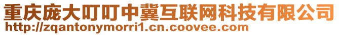 重庆庞大叮叮中冀互联网科技有限公司