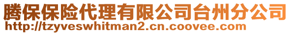 騰保保險(xiǎn)代理有限公司臺州分公司