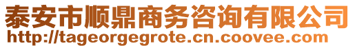 泰安市順鼎商務(wù)咨詢有限公司