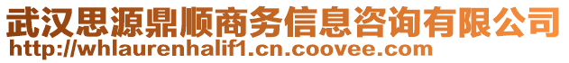 武漢思源鼎順商務(wù)信息咨詢有限公司