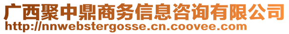 廣西聚中鼎商務信息咨詢有限公司
