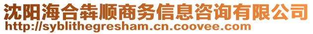 沈陽海合犇順商務(wù)信息咨詢有限公司