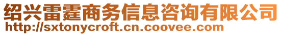 紹興雷霆商務(wù)信息咨詢有限公司