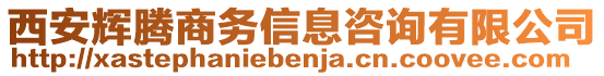 西安輝騰商務(wù)信息咨詢(xún)有限公司