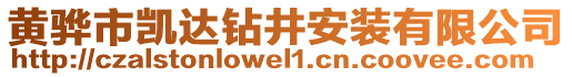 黃驊市凱達(dá)鉆井安裝有限公司