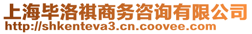 上海畢洛祺商務(wù)咨詢有限公司