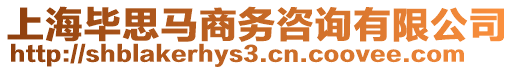 上海畢思馬商務(wù)咨詢有限公司