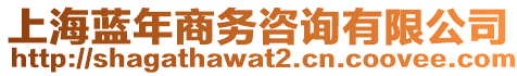 上海藍(lán)年商務(wù)咨詢有限公司