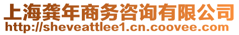 上海龔年商務(wù)咨詢有限公司