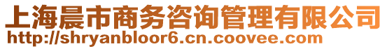 上海晨市商務(wù)咨詢管理有限公司