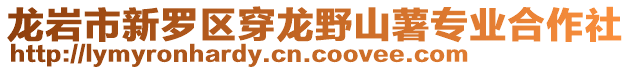 龍巖市新羅區(qū)穿龍野山薯專業(yè)合作社