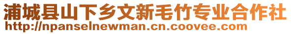 浦城縣山下鄉(xiāng)文新毛竹專業(yè)合作社