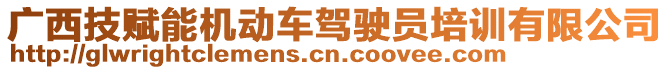 廣西技賦能機(jī)動車駕駛員培訓(xùn)有限公司