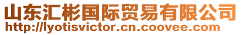 山東匯彬國際貿易有限公司